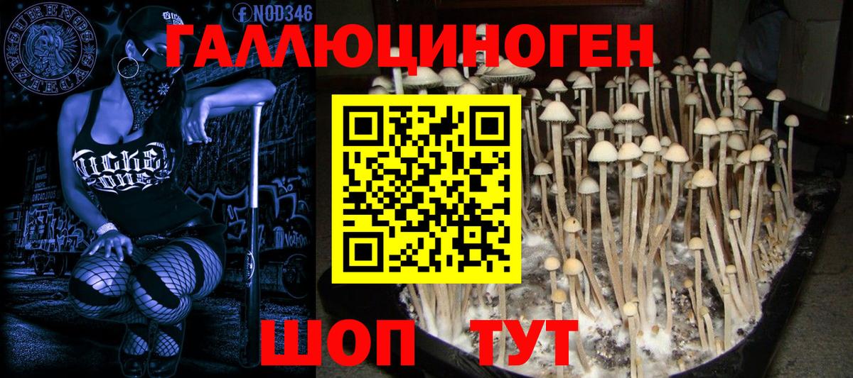 Псилоцибиновые грибы Magic Shrooms Кстово