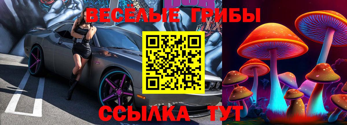 Псилоцибиновые грибы ЛСД  сколько стоит  Кстово  Вход с VPN 